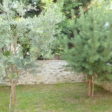 Apartment Agioneri *